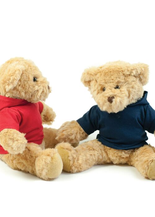 Teddy hoodie Thumbnail