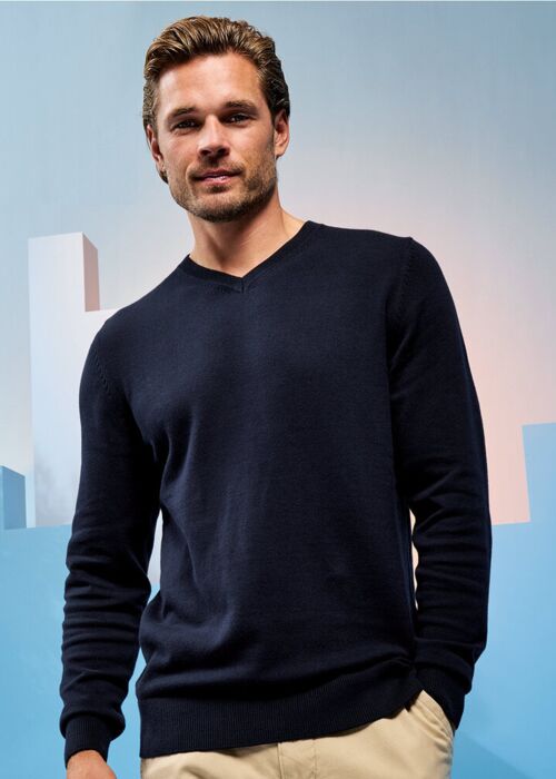 Men's cotton blend v-neck sweater Thumbnail