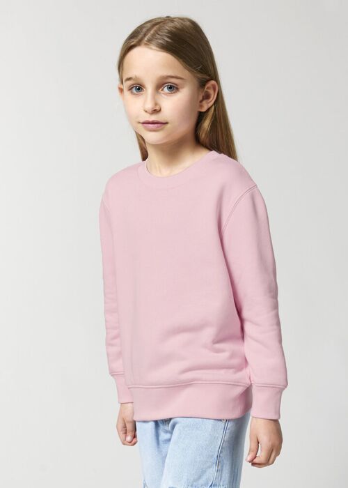 Kids Mini Changer 2.0 iconic crew neck sweatshirt (STSK181) Thumbnail