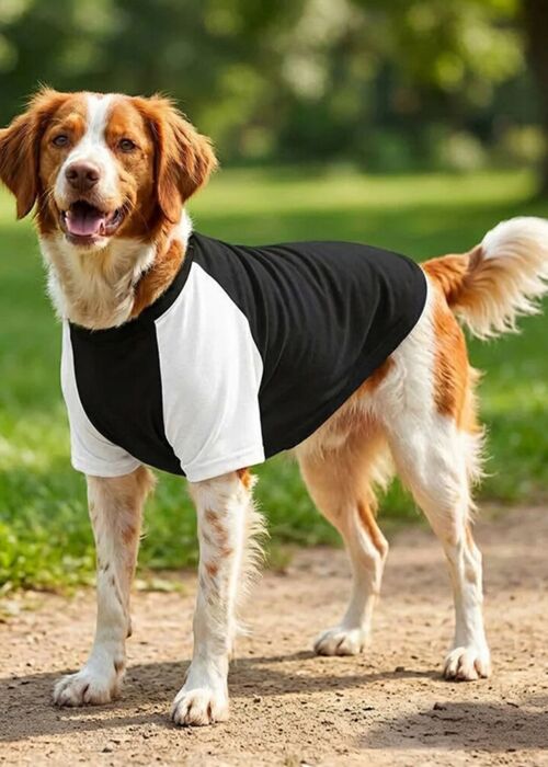 Dog’s raglan t-shirt Thumbnail