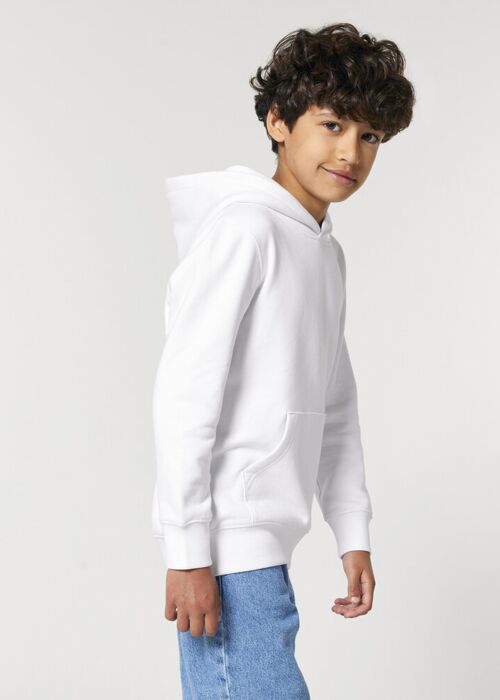 Kids Mini Cruiser 2.0 iconic hoodie sweatshirt (STSK180) Thumbnail
